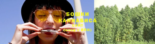jwh Ельня