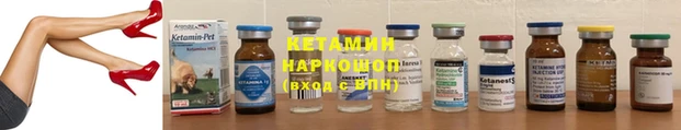 стафф Дмитров
