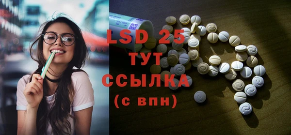 стафф Дмитров