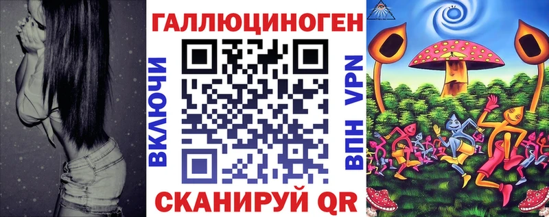 Галлюциногенные грибы Psilocybe Пятигорск