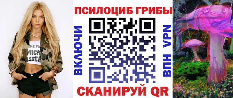 hydra рабочий сайт  Пятигорск  Псилоцибиновые грибы мухоморы 